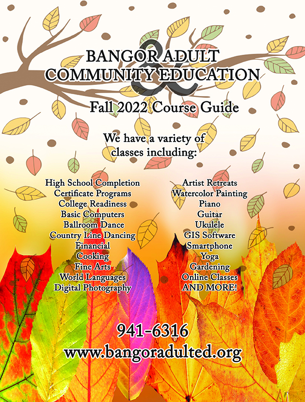 Bangor Adult and Community Education image #3716